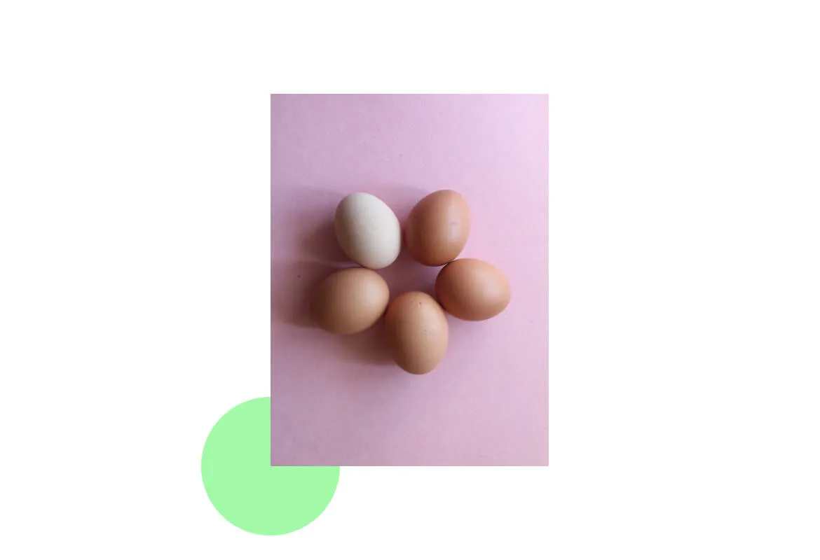 33262 maintaining veneers after whitening