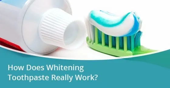 33293 whitening toothpaste basics
