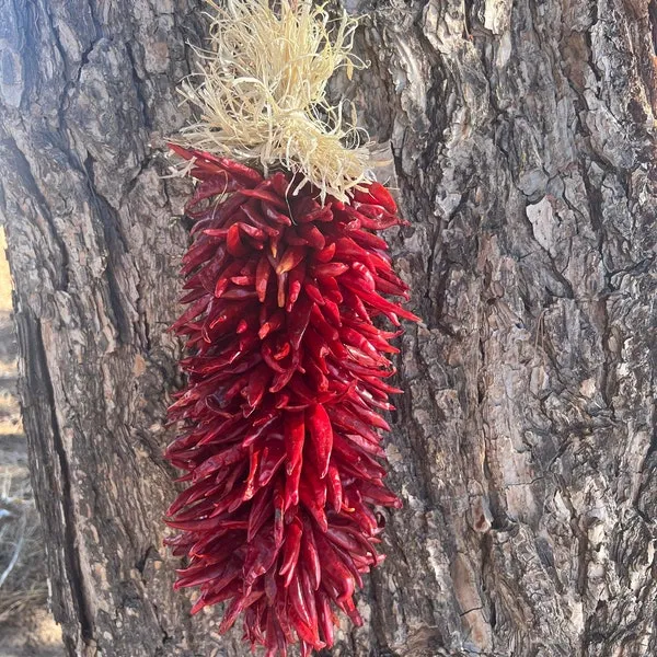 33300 ristra whitening series skin tone