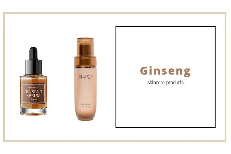 33497 ginseng anti inflammatory