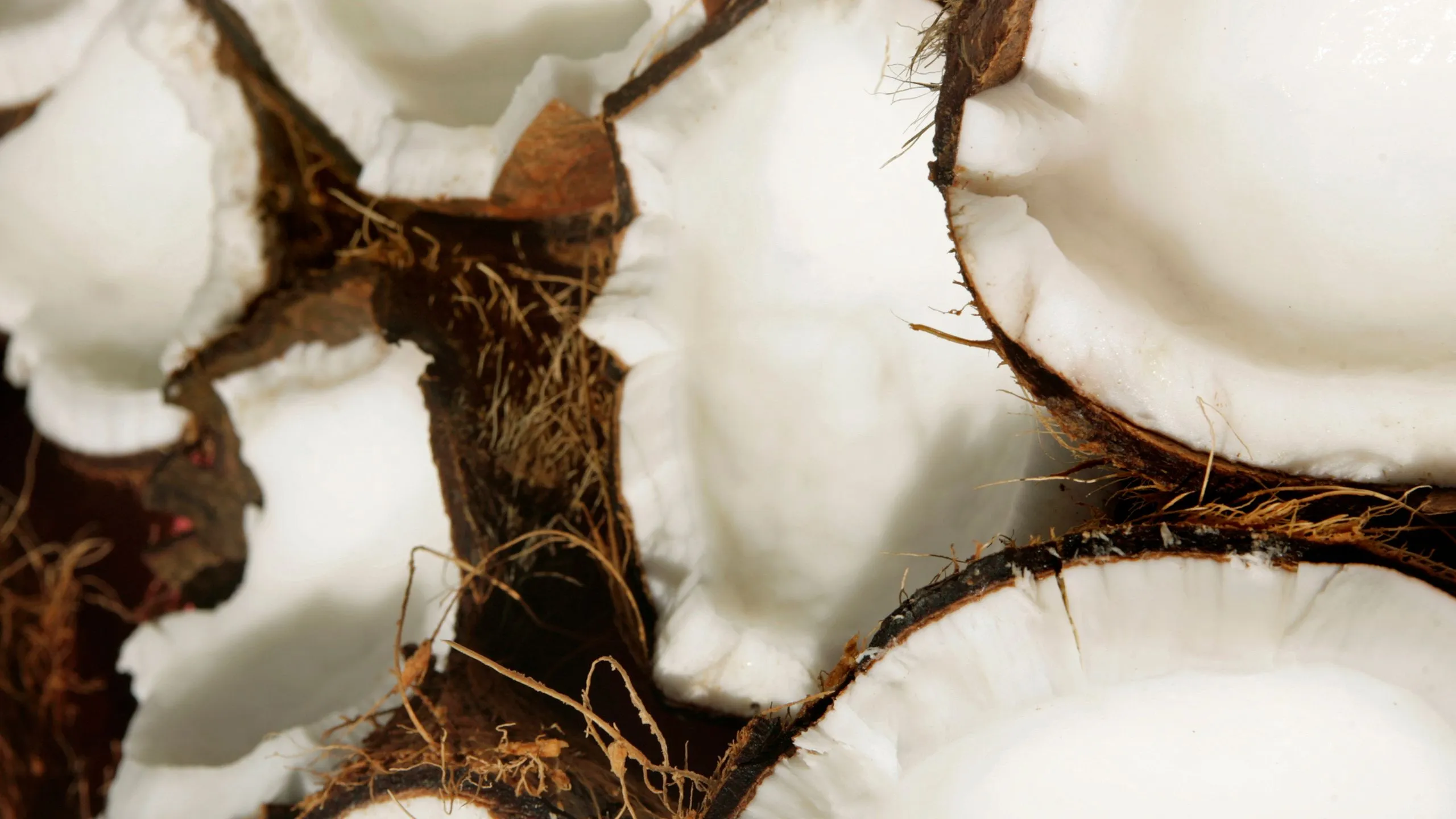 33521 coconut oil teeth whitening 2