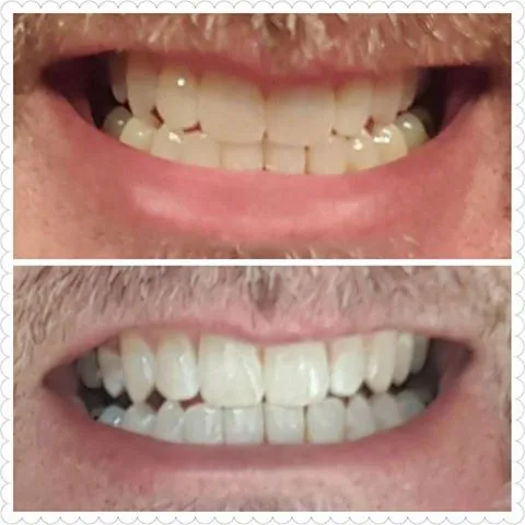 33540 dental checkup