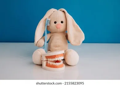 33642 bunny dental checkup