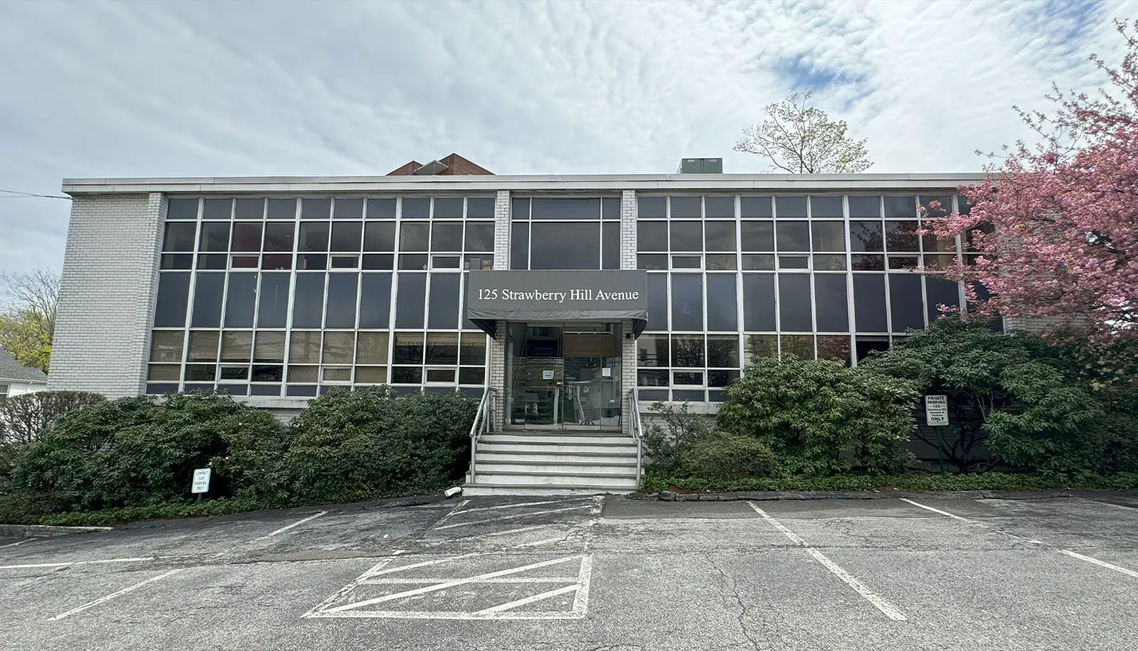 33723 qualified dentist stamford ct